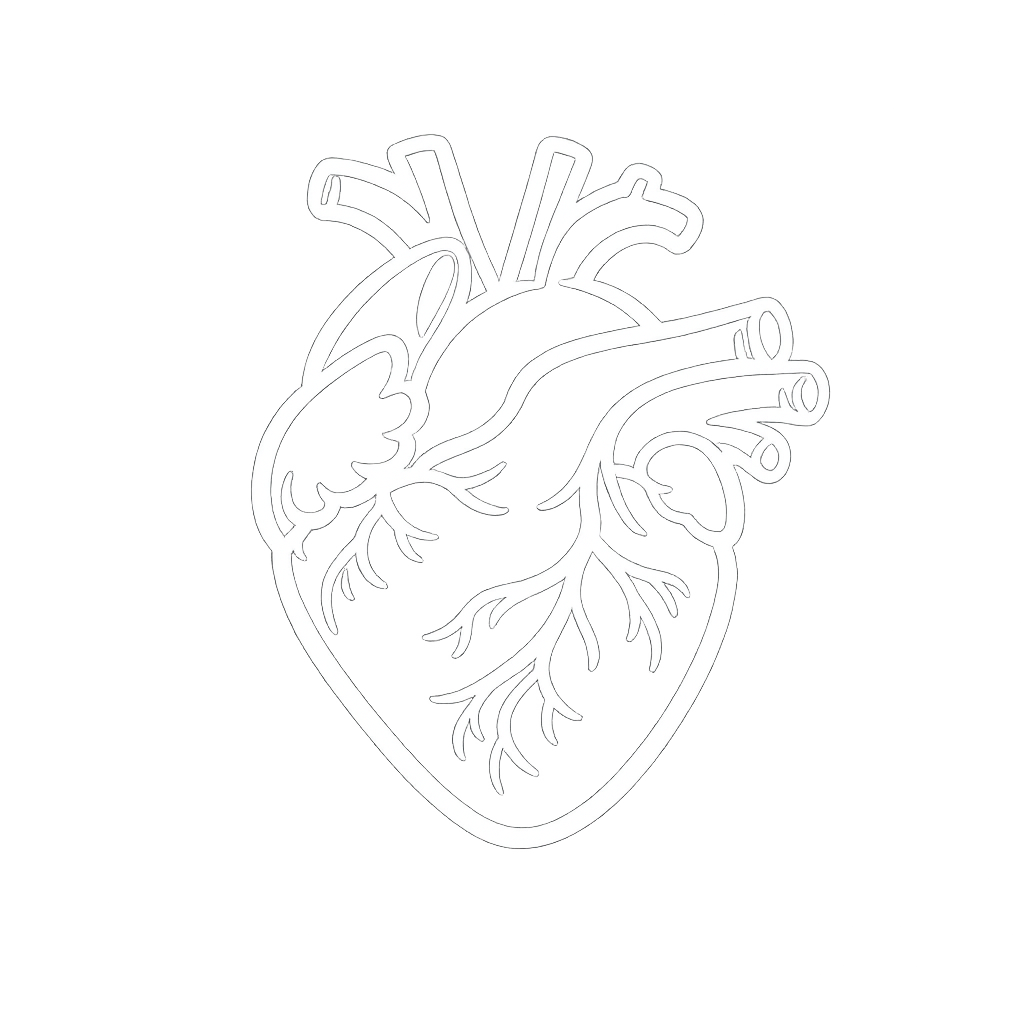 Cardiology illustration