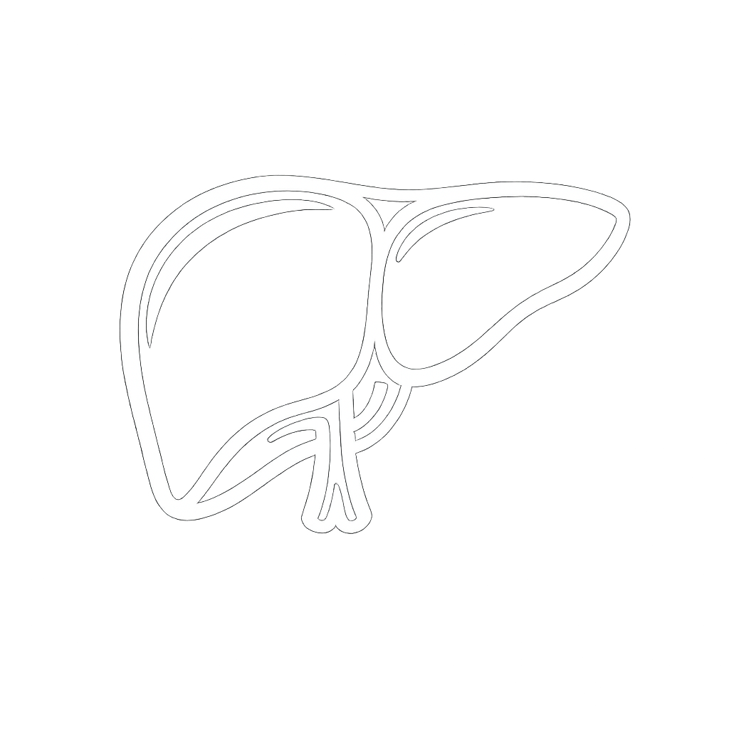 Hepatology illustration