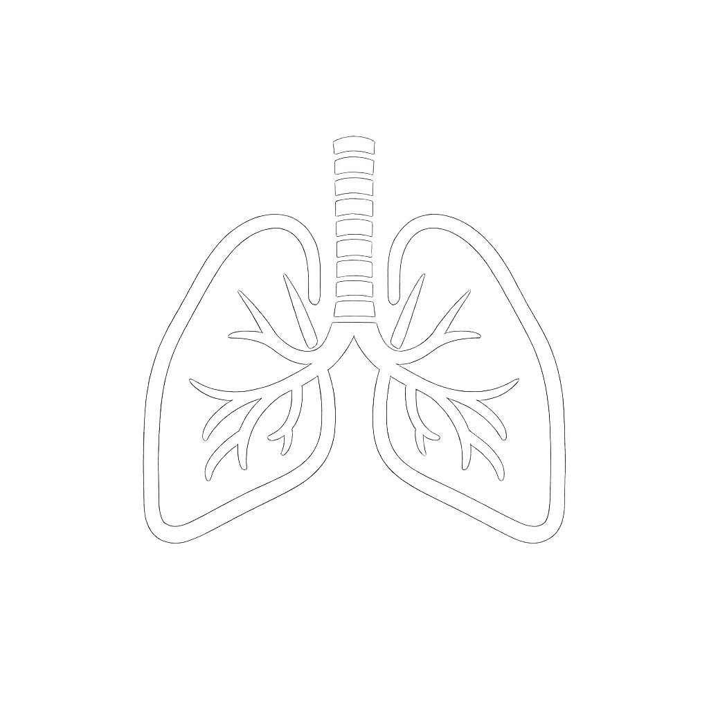 Pulmonology illustration