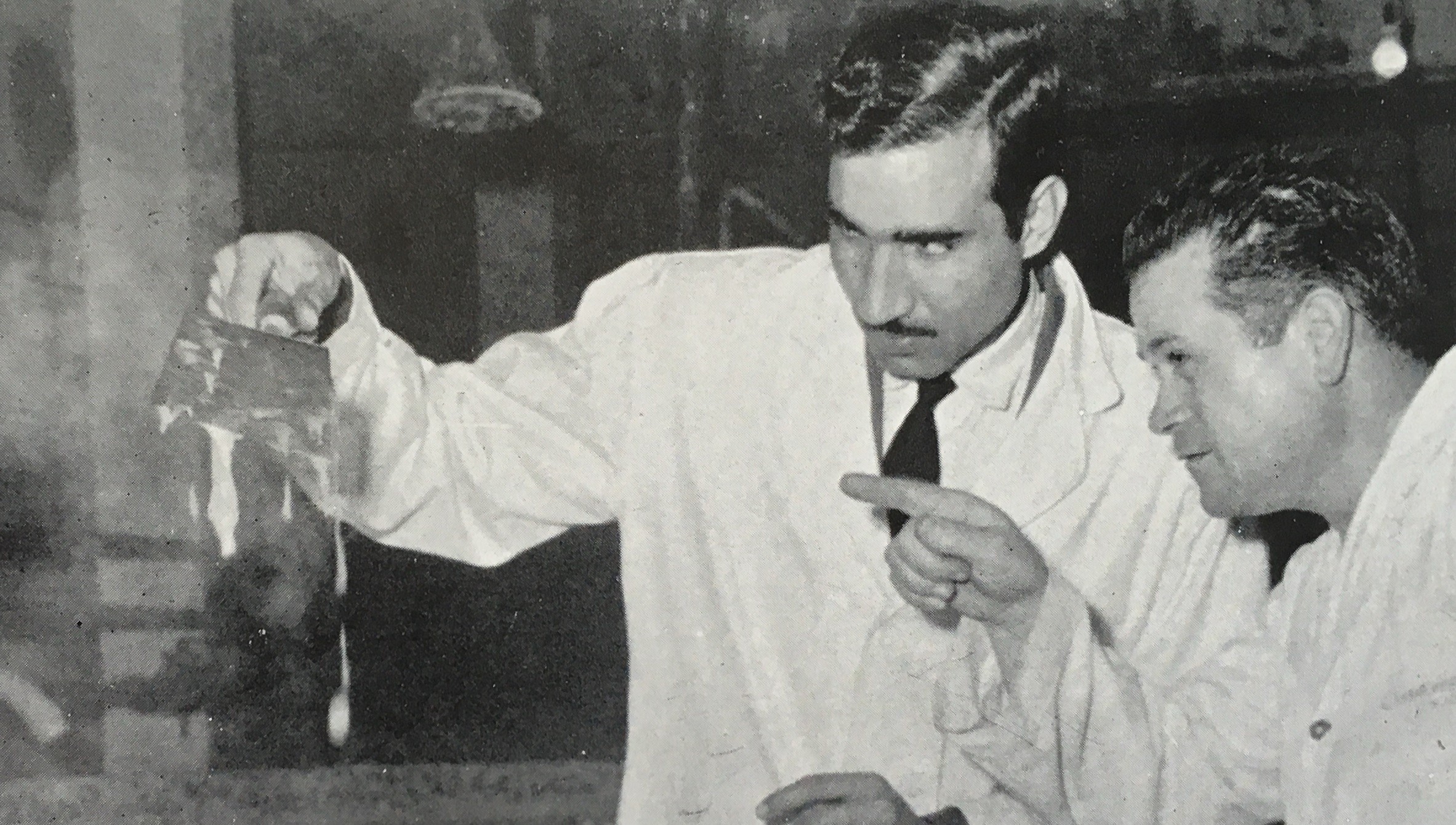 Global export representation map.